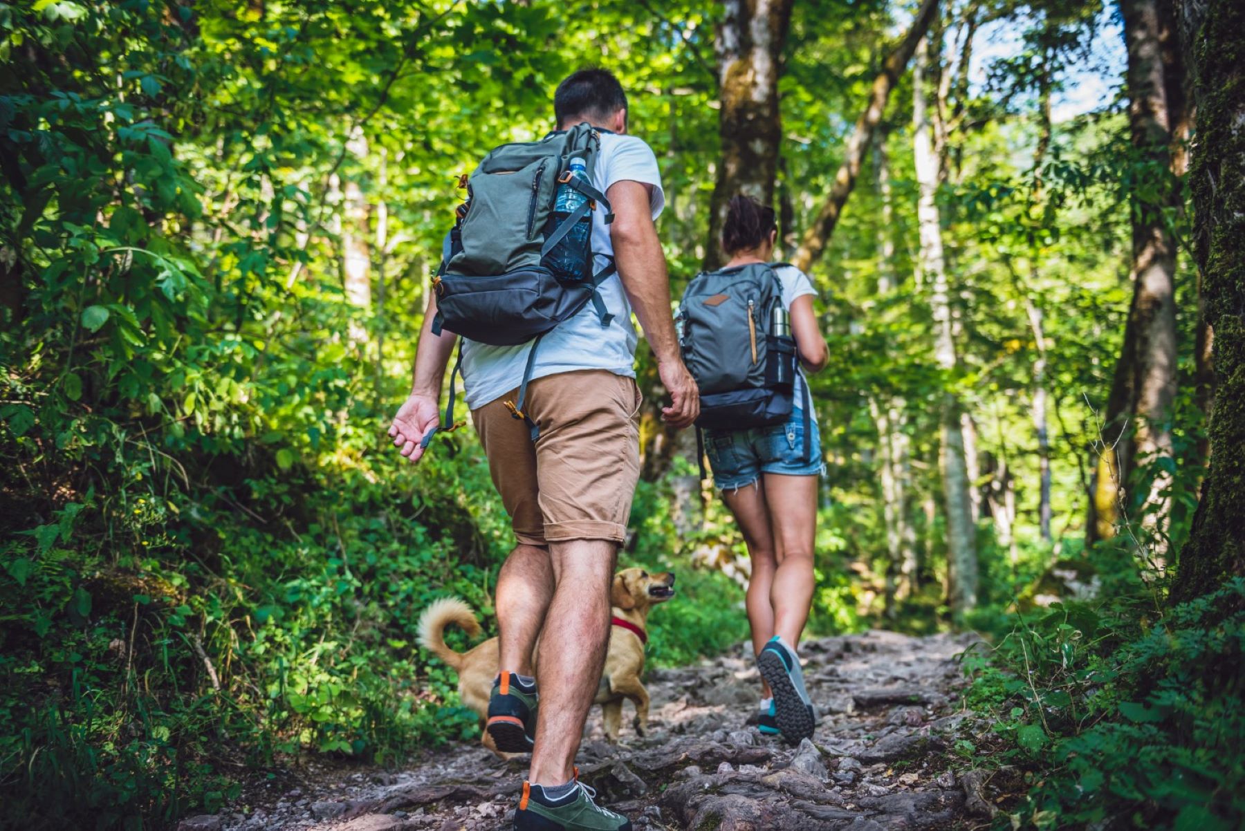 Your First Wealth Map: A Beginner's Guide to Financial Freedom