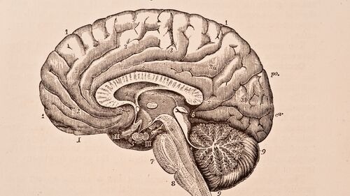 The Biased Brain: The Science of Making Smarter Decisions
